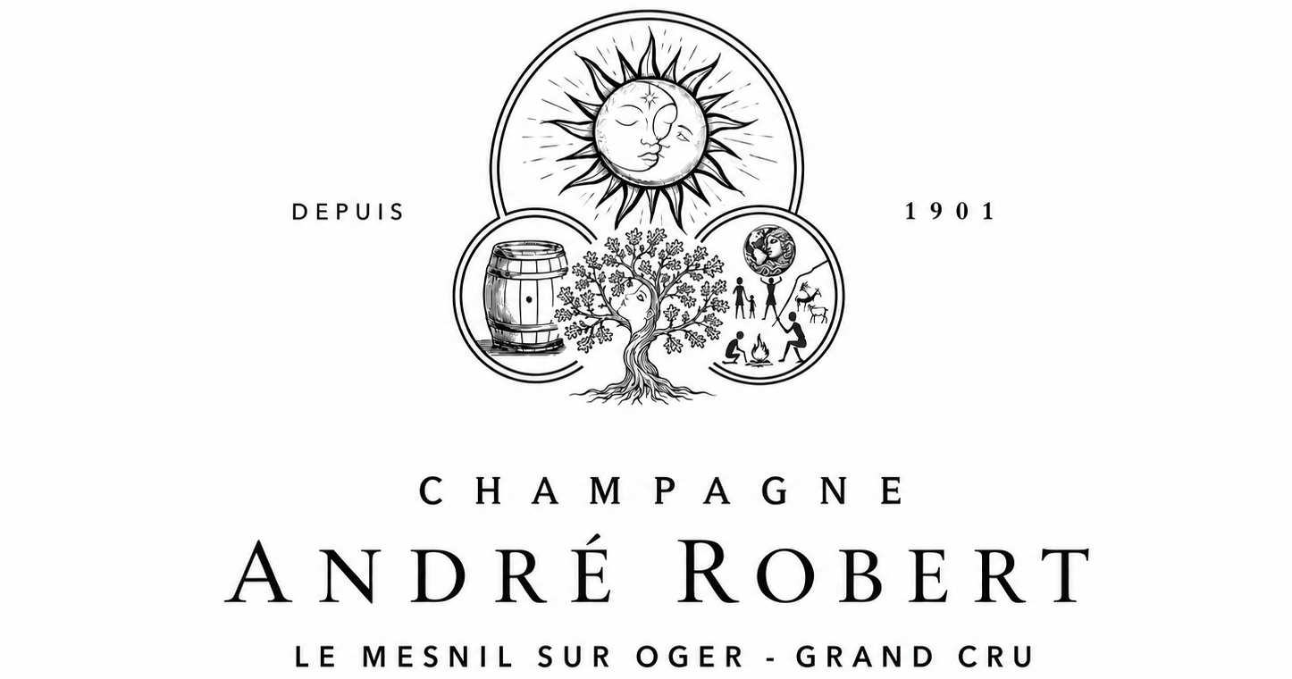 ANDRÉ ROBERT
